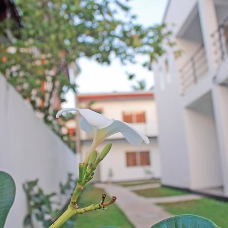 The Anchorage Holiday Apartments - Negombo Dış mekan fotoğraf